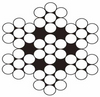 7 x 7